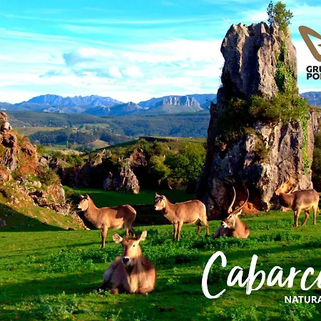 Mar Azul & Surf ホテル 3*