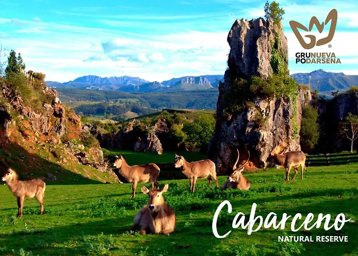 Mar Azul & Surf Hotel 3*